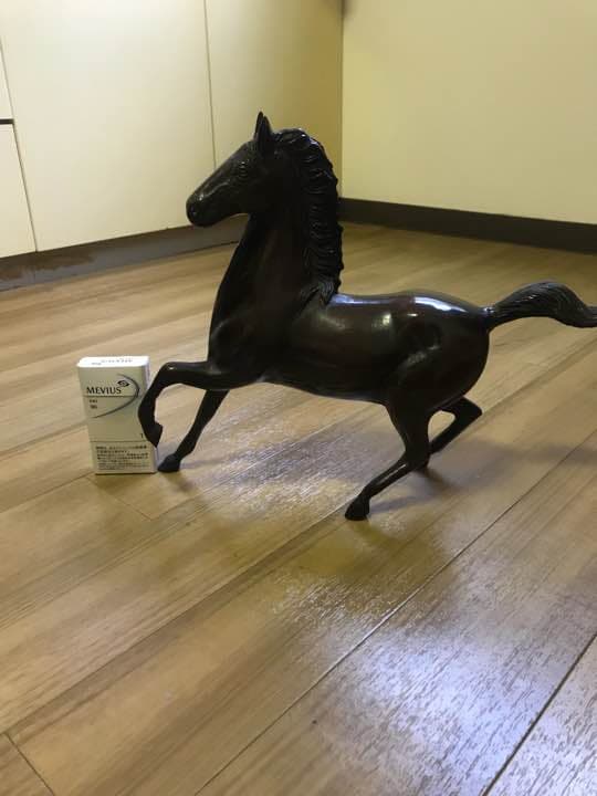 競走馬