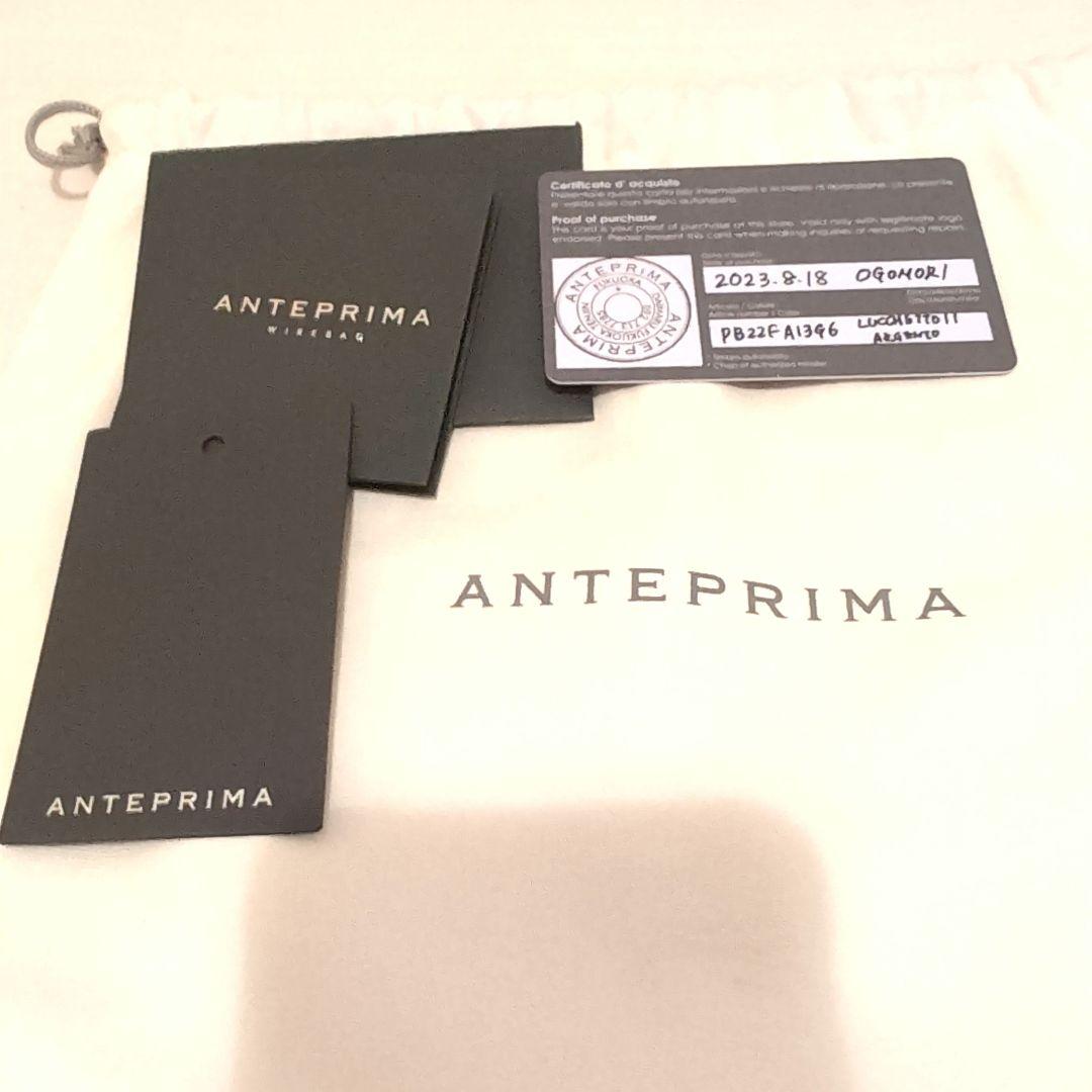 アンテプリマ　ワイヤーバッグ　ルケット　シルバー