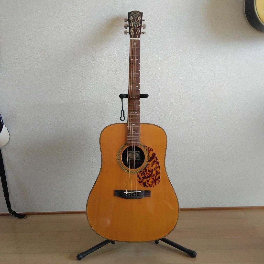 Headway ヘッドウェイ　HCD-500M アコースティックギター