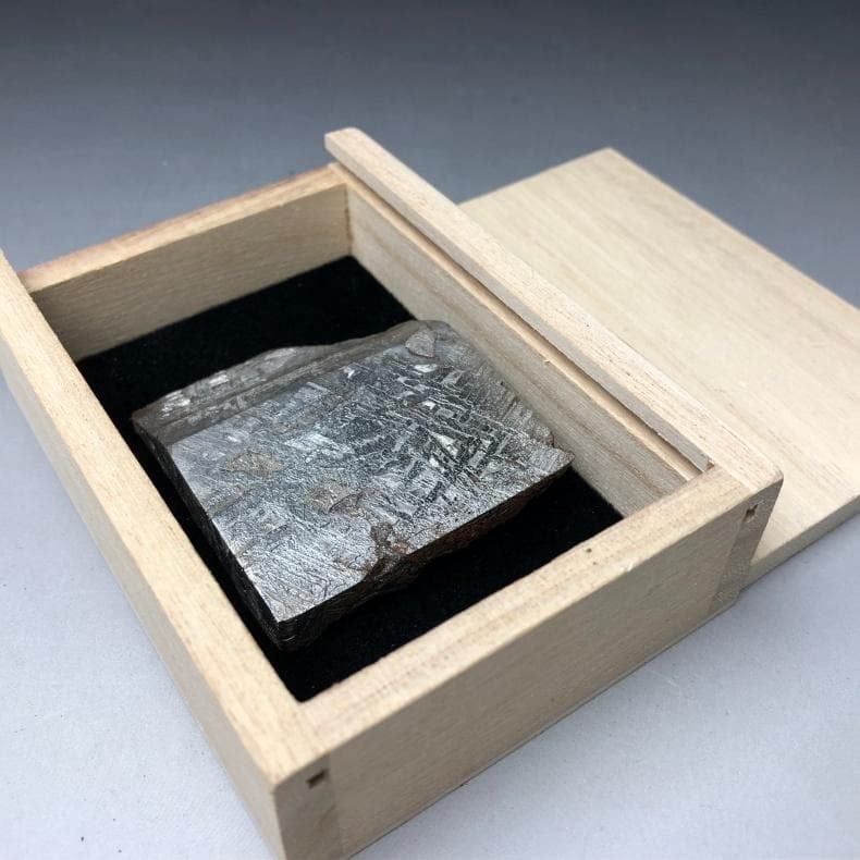 隕石 鉄隕石　アルタイ隕石　原皮付き　ナチュラル　原石　重さ約131ｇ