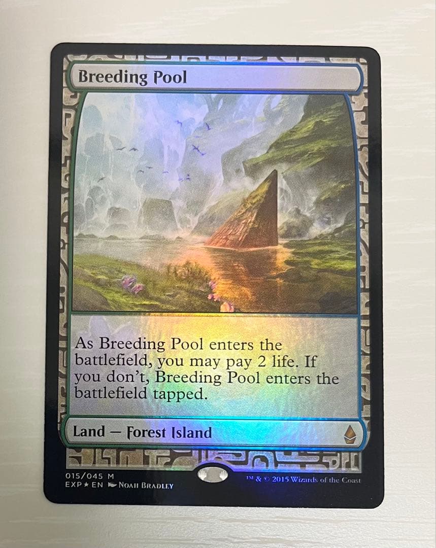 MTG 繁殖池 EXP