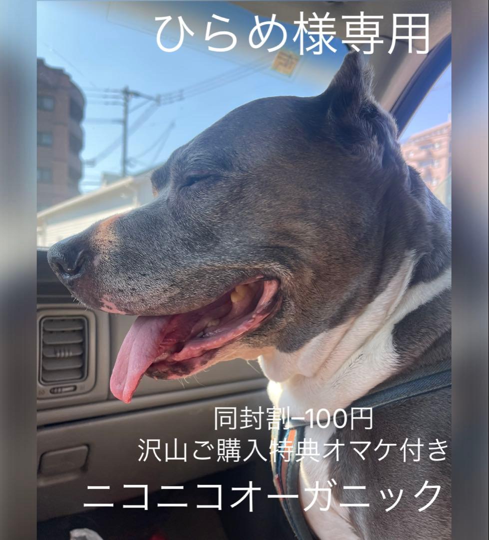 ひらめ