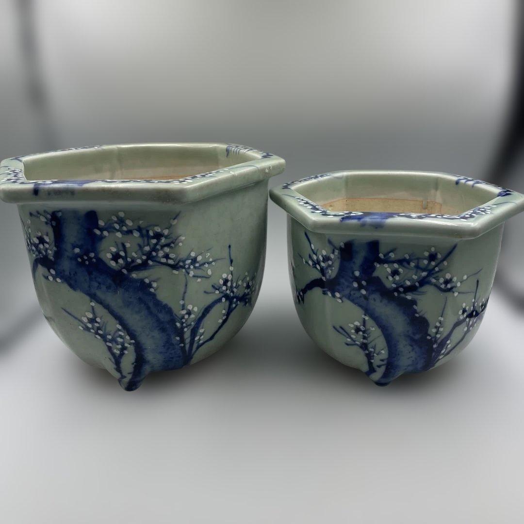 瀬戸 梅文 青磁 植木鉢 盆栽鉢 梅鉢 時代物　❷個セット