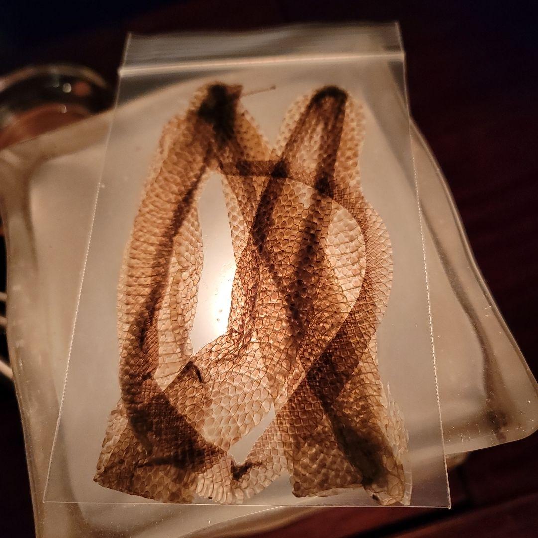 白蛇の脱け殻