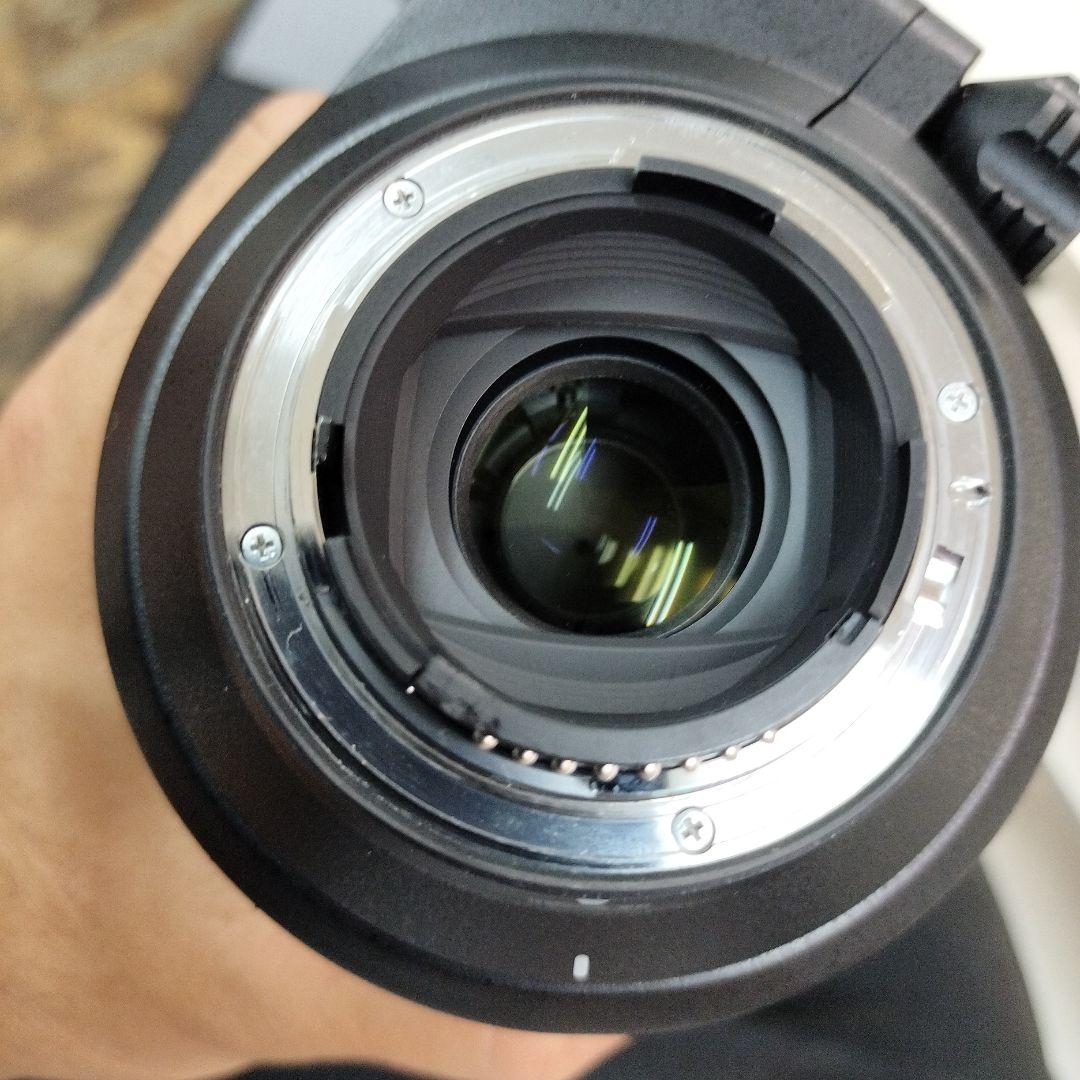 ゆっくん TAMRON SP 150-600mm F/5-6.3A011N