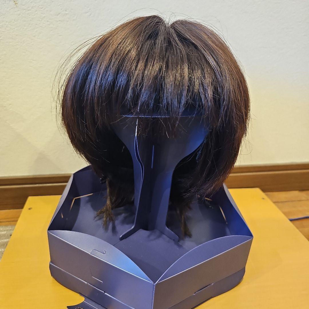 限定値下げ!! 美品!!フォンテーヌ フルウィッグ VR04 R141