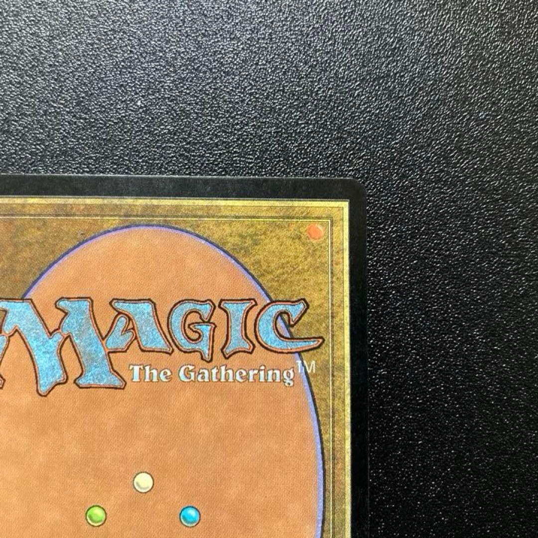 MTG タールルームの勇士、ターンガース 絵違い foil