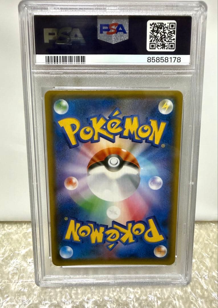 めいめいページ ポンチョを着たイーブイ ブラッキー【PSA10】