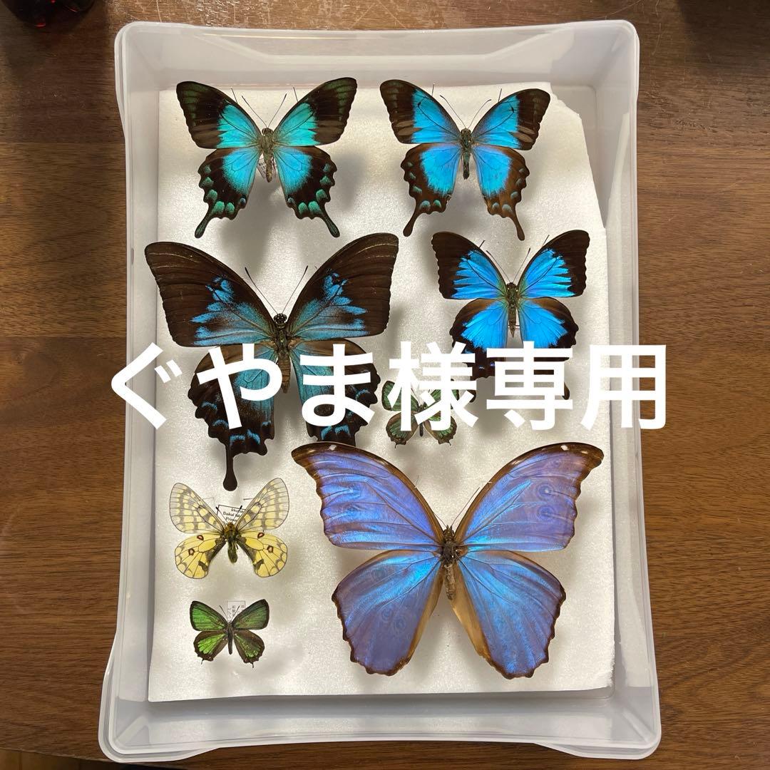 ぐやま