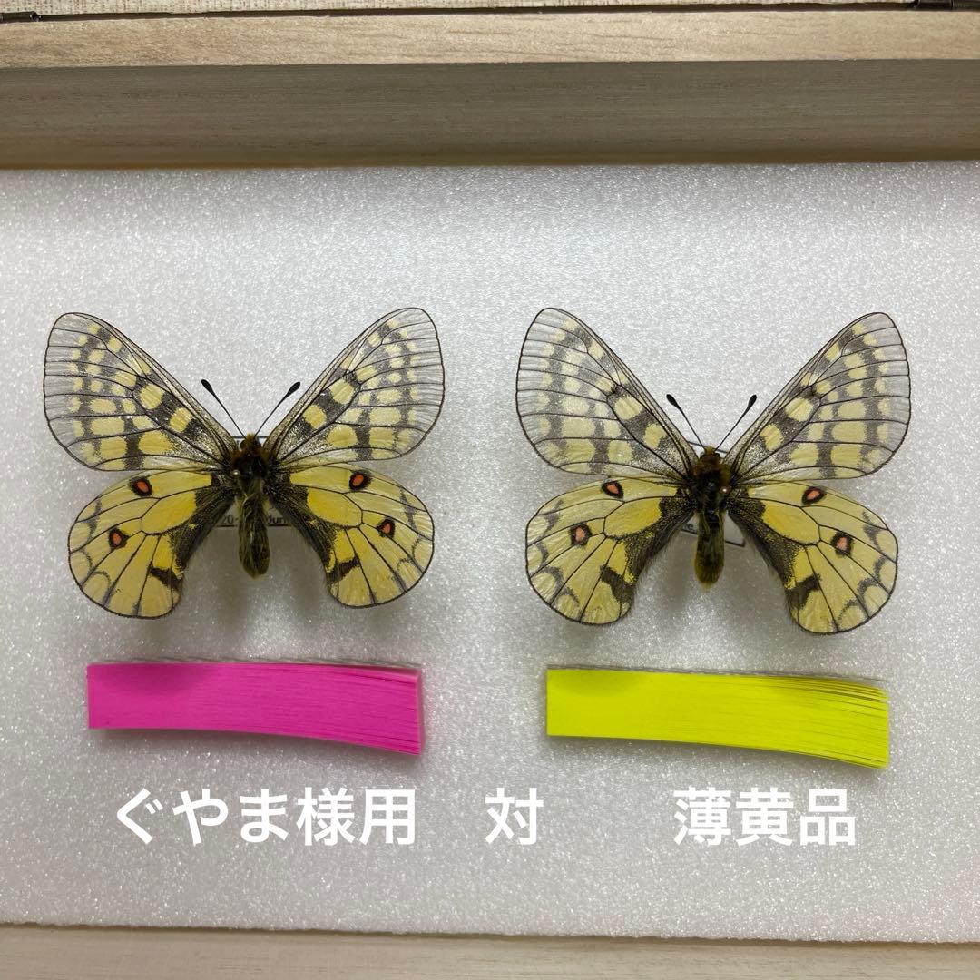 ぐやま