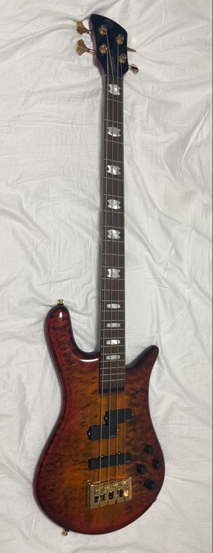 ベース Spector EURO4 LX RAS LAYER