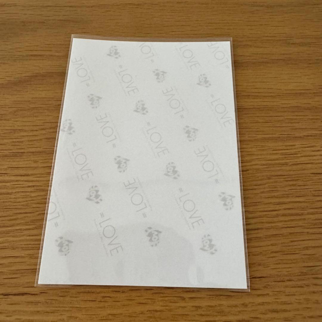 野口衣織 直筆 シナモン 生写真