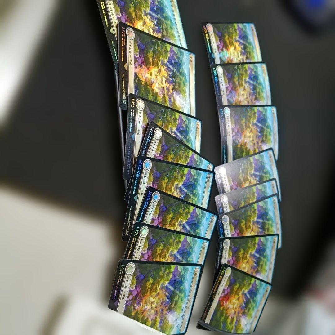 MTG チョコボバンドル 土地 チョコボトラックfoil 5種×16枚 FF