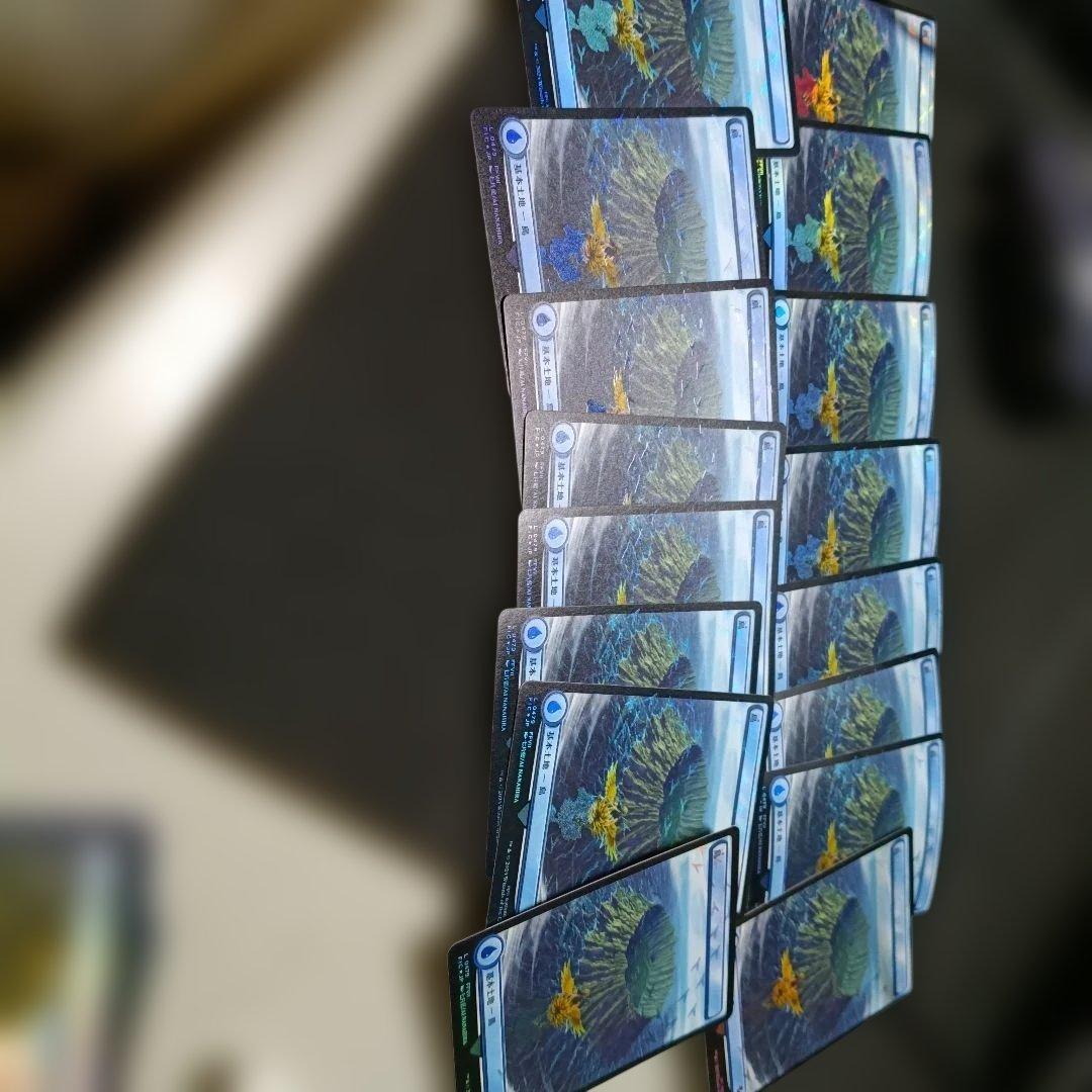 MTG チョコボバンドル 土地 チョコボトラックfoil 5種×16枚 FF