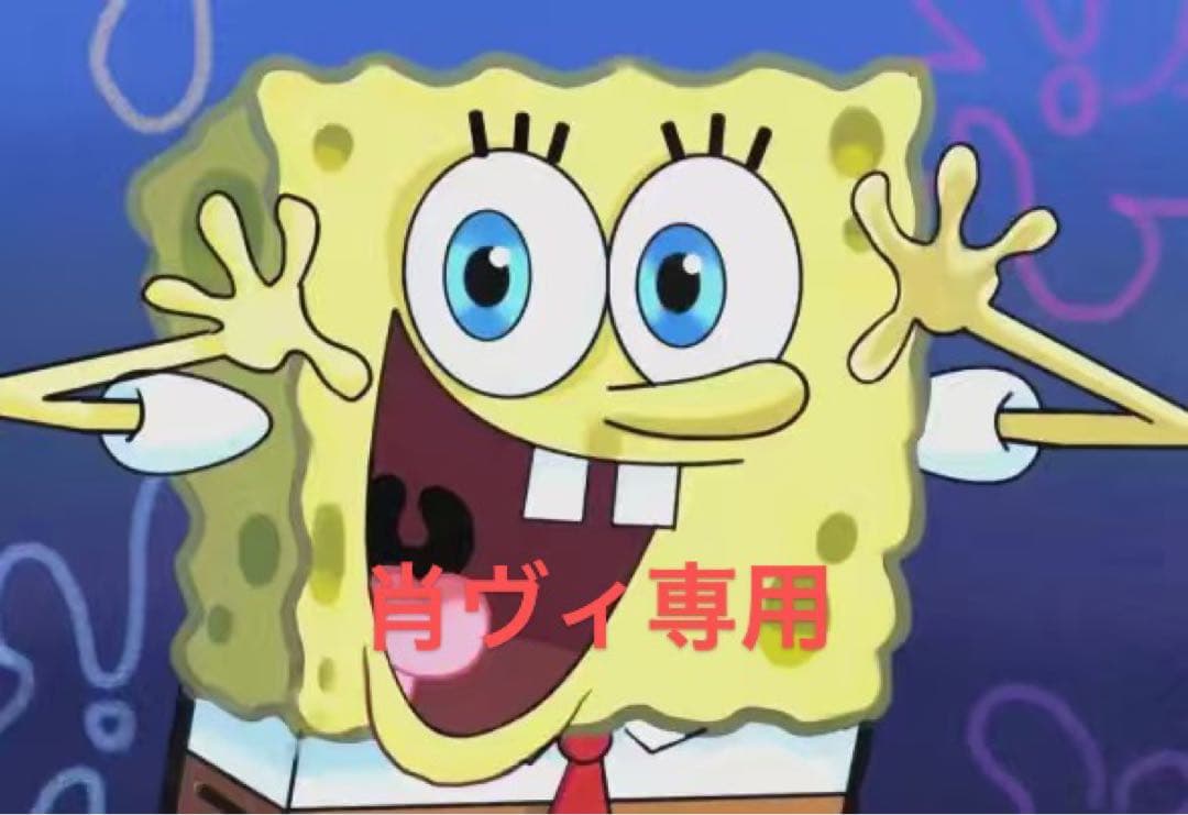 肖ヴィ専用z