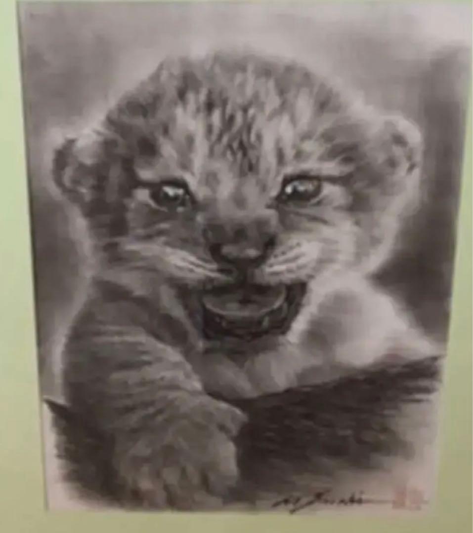 鉛筆画　ライオン　赤ちゃん