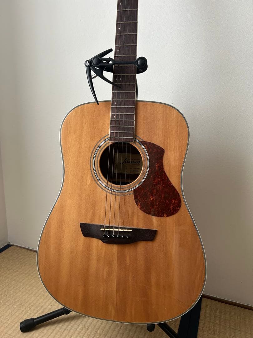 James J-300D NAT アコースティックギター ギグバッグ付き