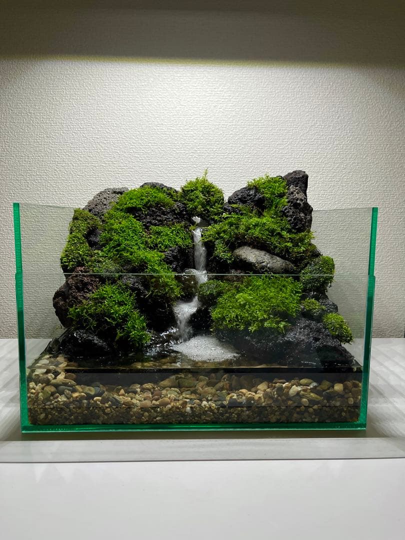 森の滝