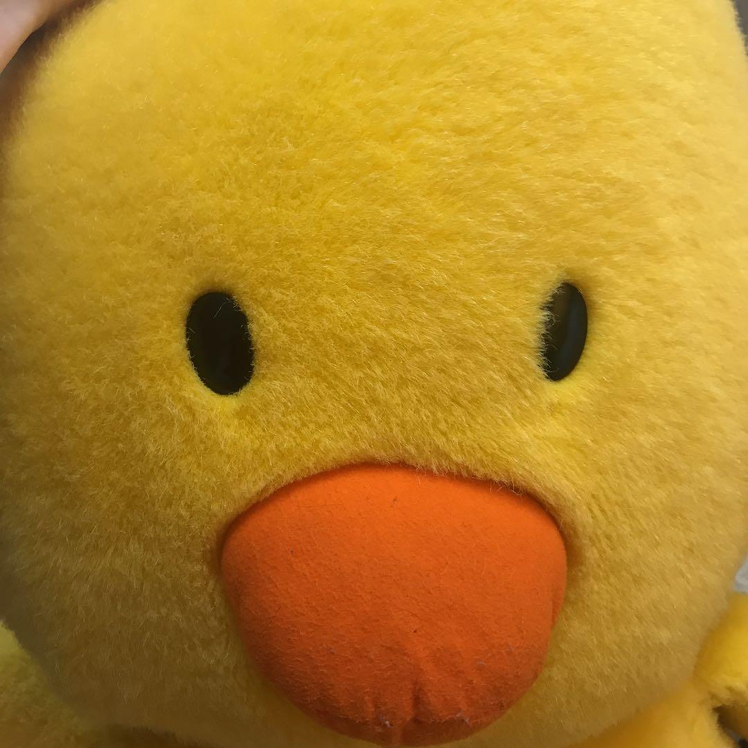 いぬ