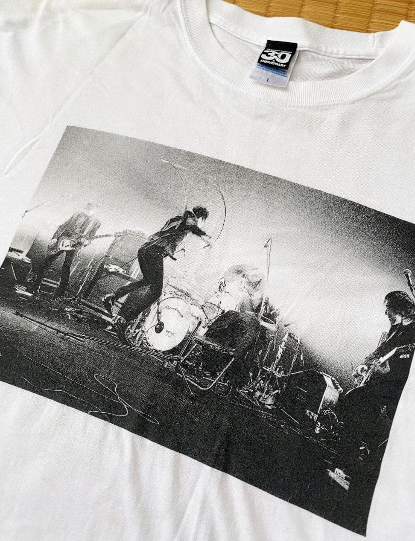 ◉ エレファントカシマシ　デビュー30周年 野音Tシャツ（L）※古着