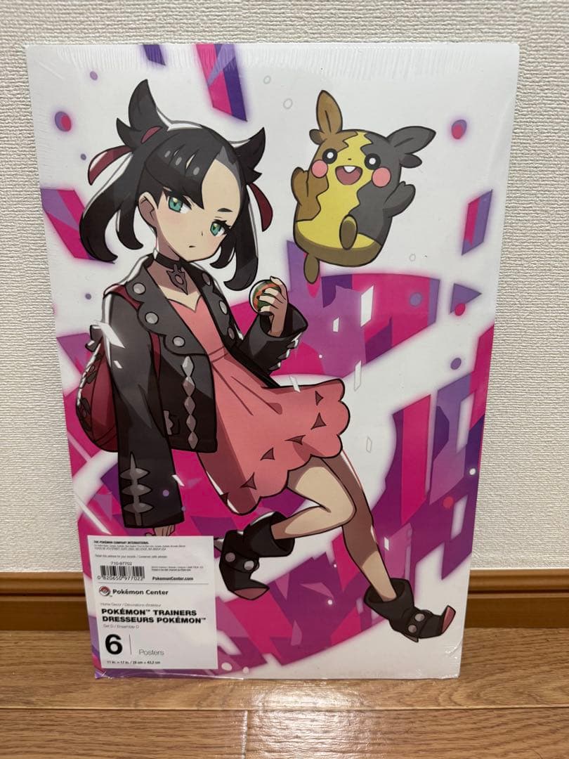 【海外ポケモンセンター限定】ポケモン トレーナーズ ポスター 24枚 セット
