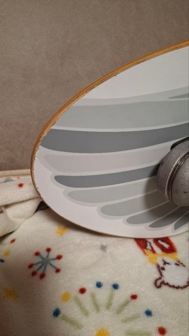 ポ*ン様 Taylor Knox スケートボード Carver コンプリート