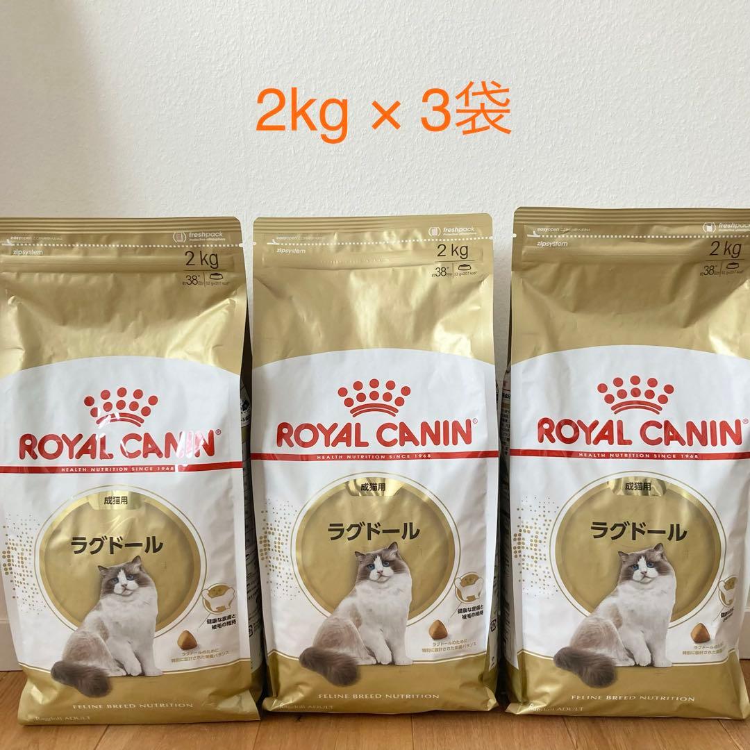 ロイヤルカナン ラグドール 2kg×3袋