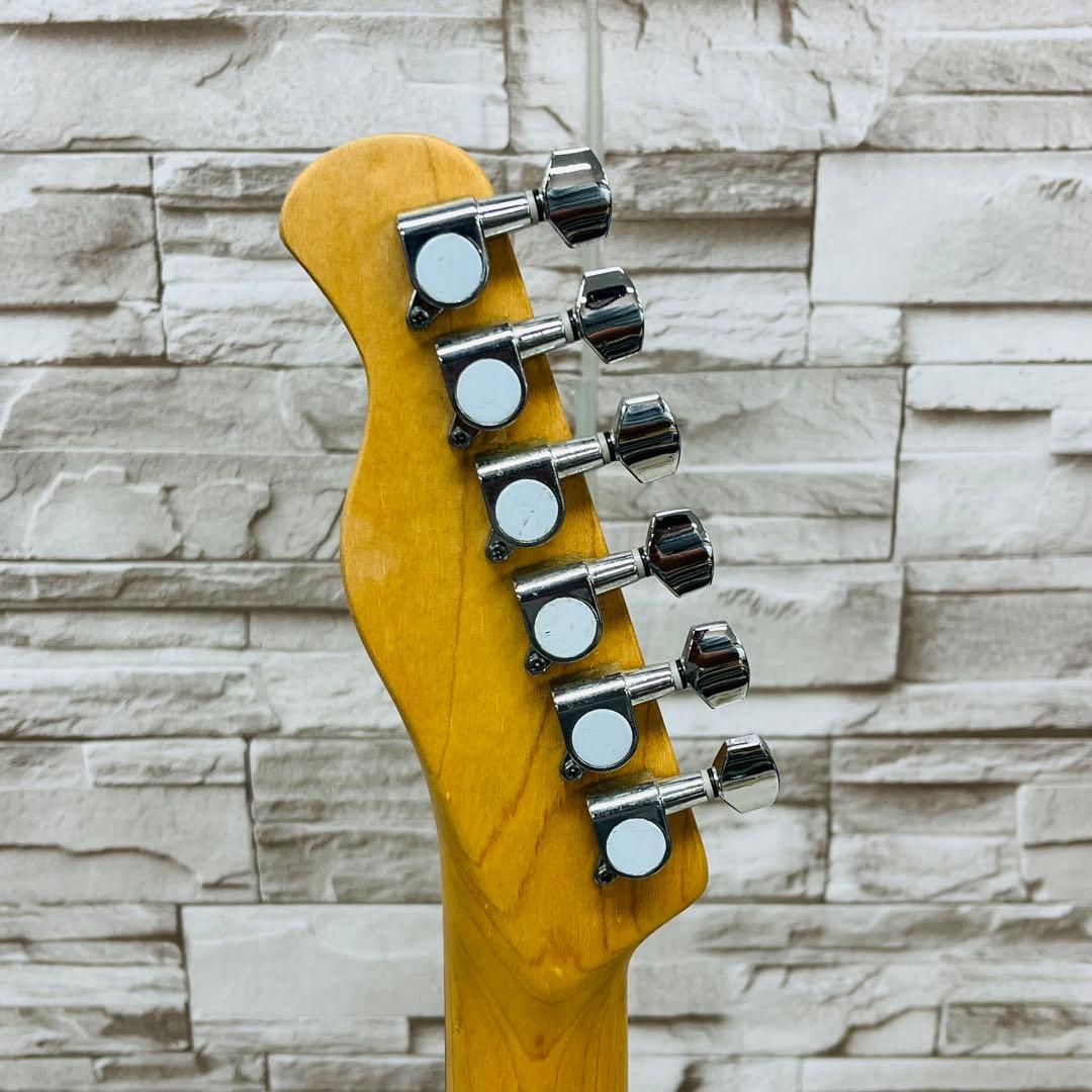 Bacchus バッカス UNIVERSE SERIES テレキャスター