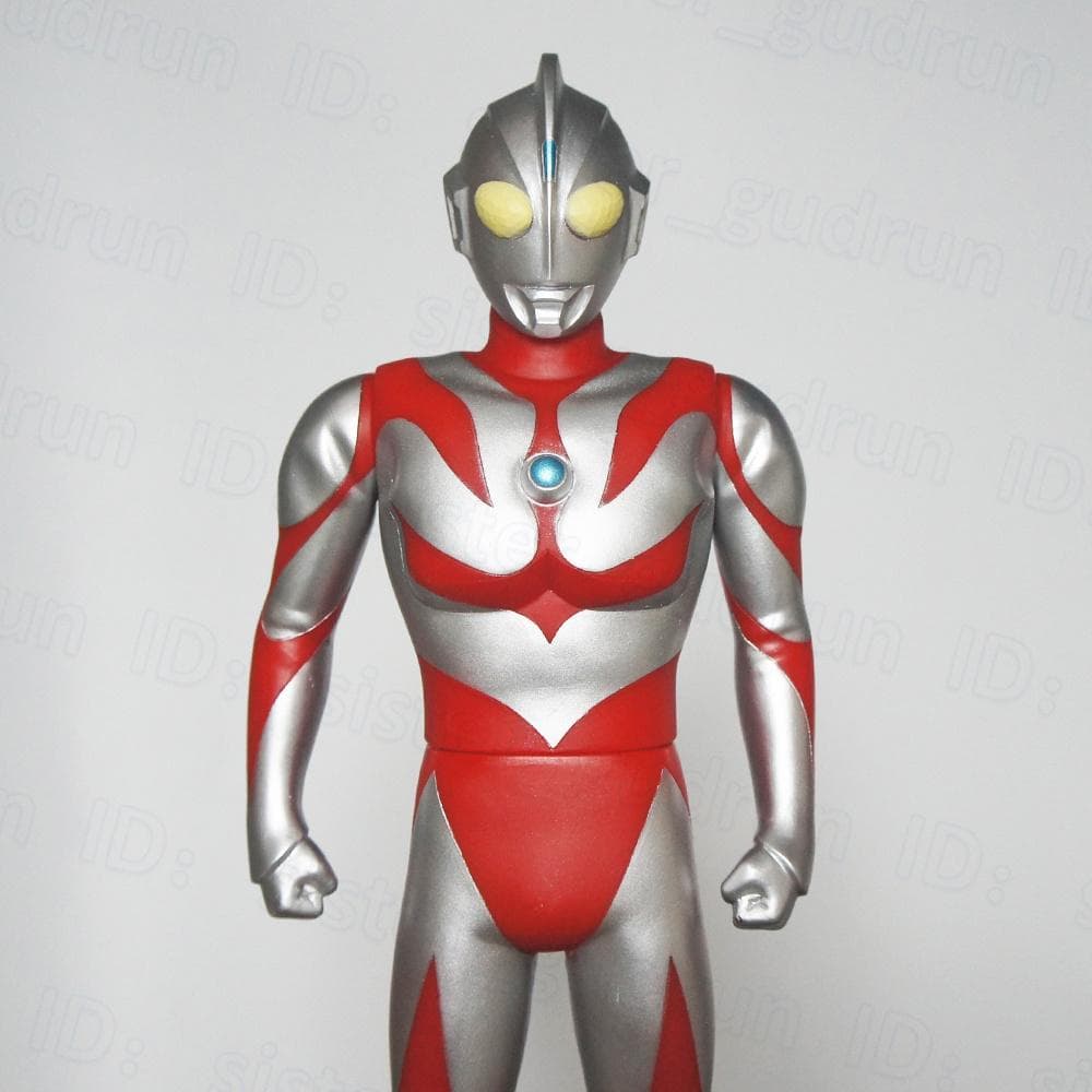 【中古】　限定フォトパネル　友里アンヌ　直筆サイン