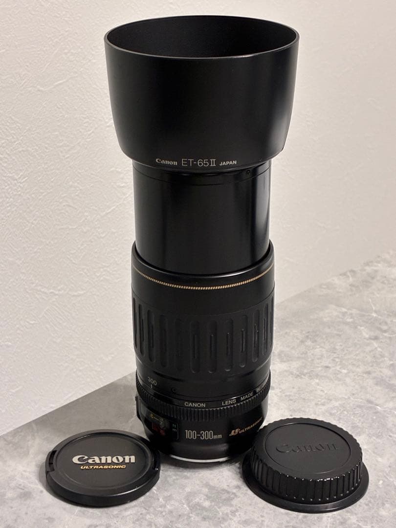 ⭐️美品⭐️キャノン Canon EF 100-300mm 4.5-5.6 USM