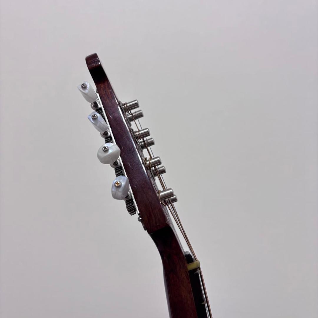 ☆マンドリン カターニア CATANIA イタリア ハードケース