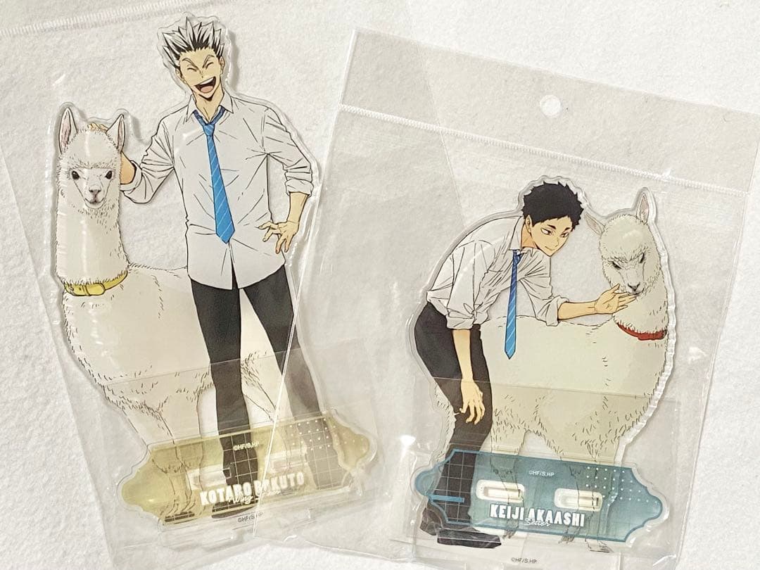 ハイキュー 東武動物公園 BIGアクリルスタンド 木兎光太郎 赤葦京治①