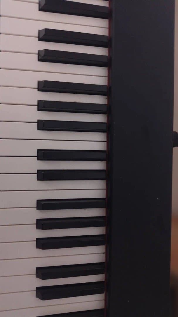 KORG D1 88鍵 ハンマーアクション