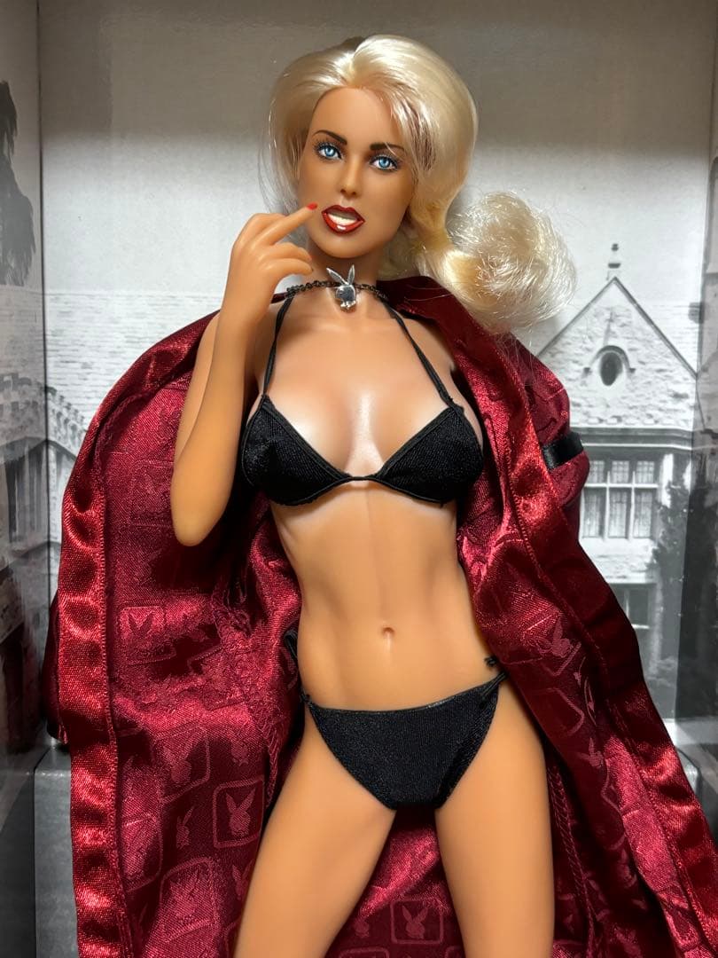 その他 PLAYBOY Playmate 1997 Victoria Silvstedt