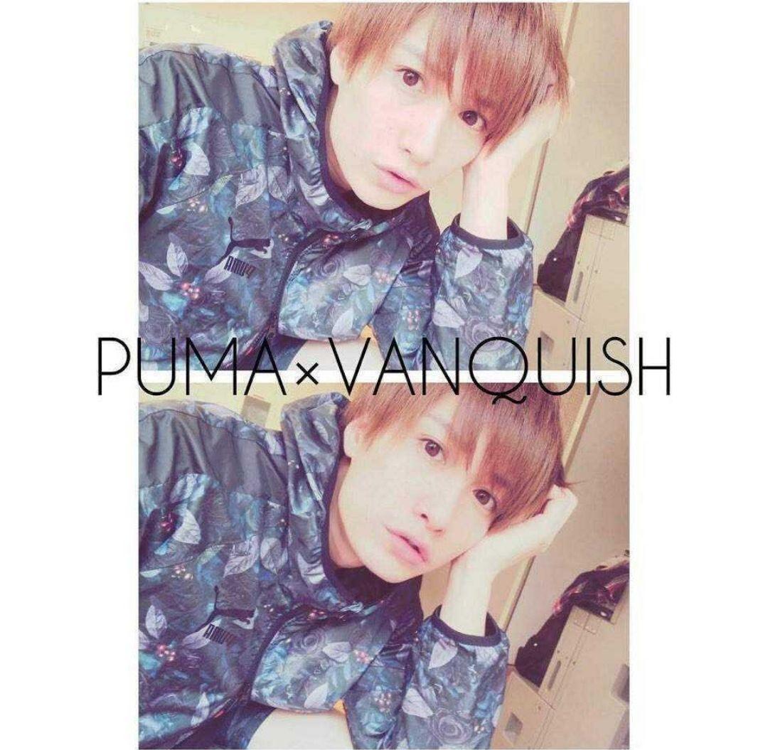 激レア 完売品 PUMA vanップ プーマ ヴァンキッシュ 上下 ジャージ