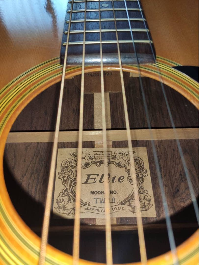 ギター Takamine Elite TW-40