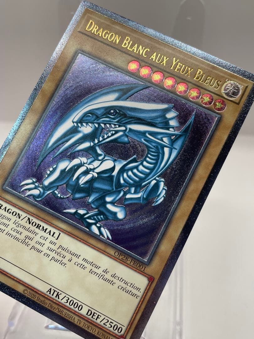希少 フランス語 青眼の白龍 レリーフ 遊戯王 OTS