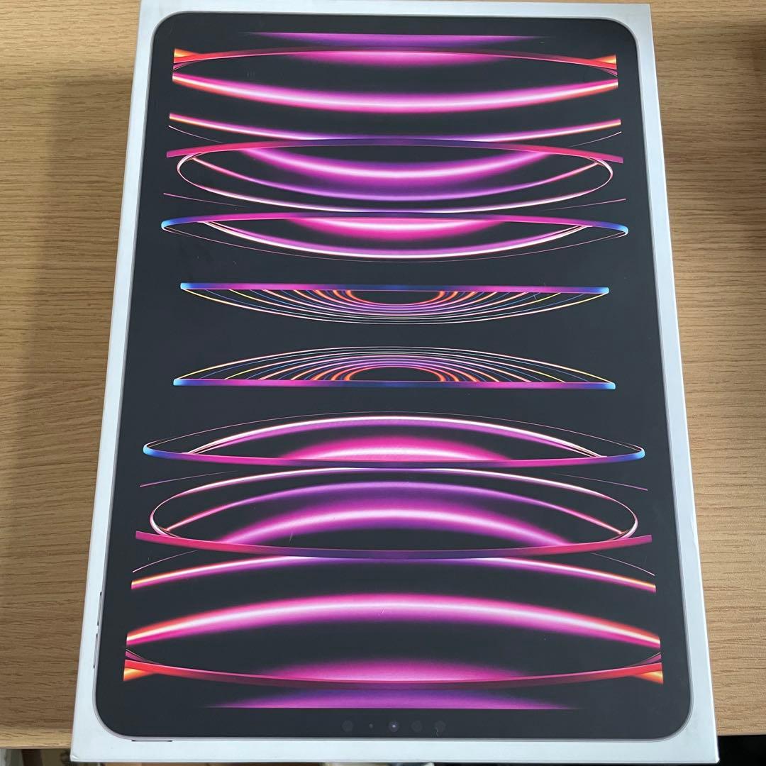 【peter】iPad Pro 11インチ M2
