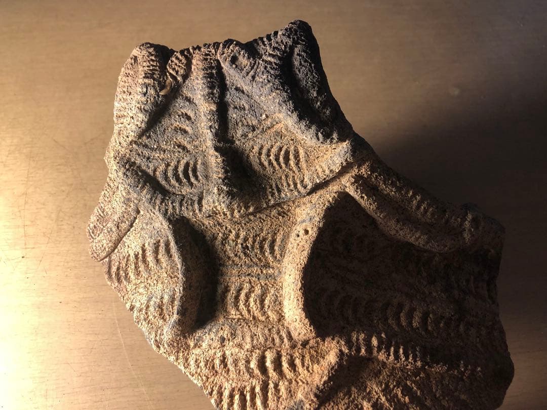 「縄文土器の欠片 No.507」です。