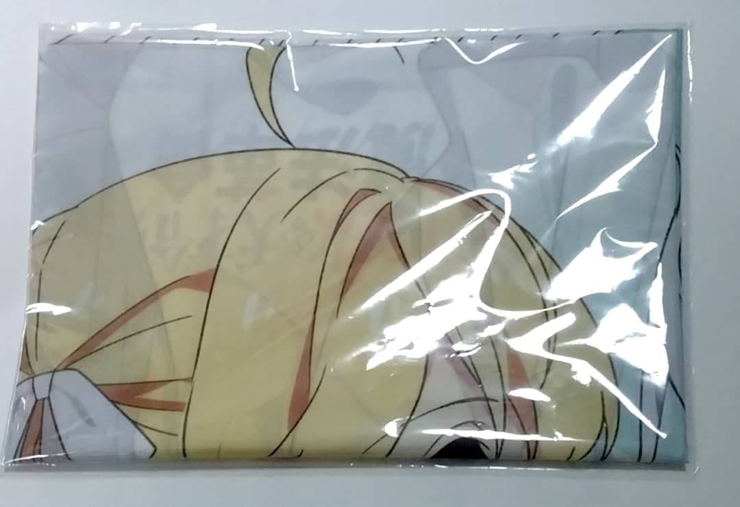 転生王女と天才令嬢の魔法革命　アニメイト特典　布ポスター