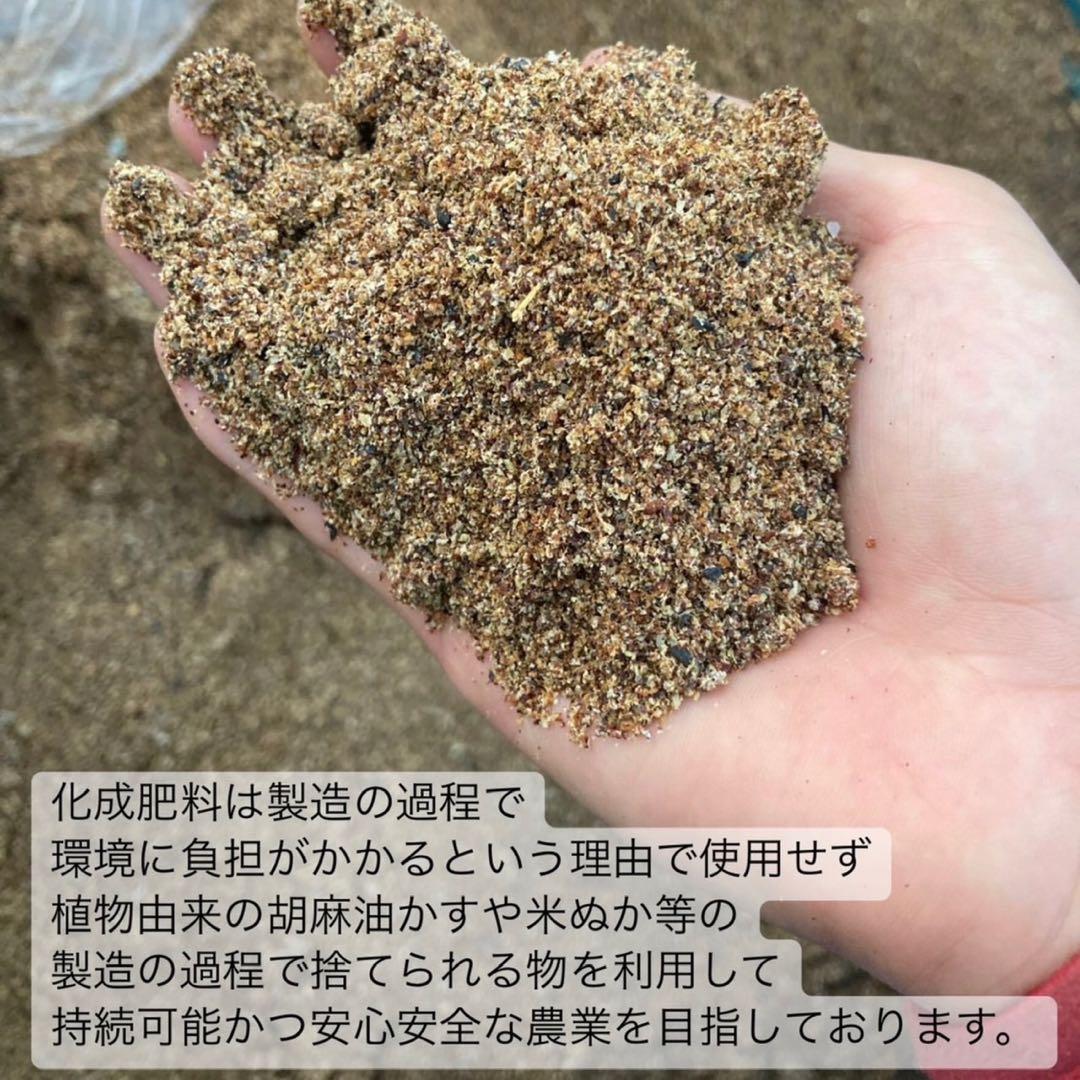 ＊1月のお茶＊5種類飲み比べセット(計20個入り＋ラテ40杯分)