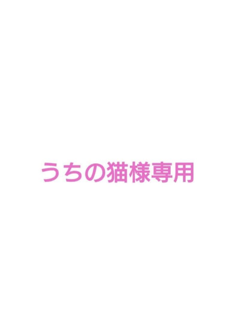 うちの猫です☺️