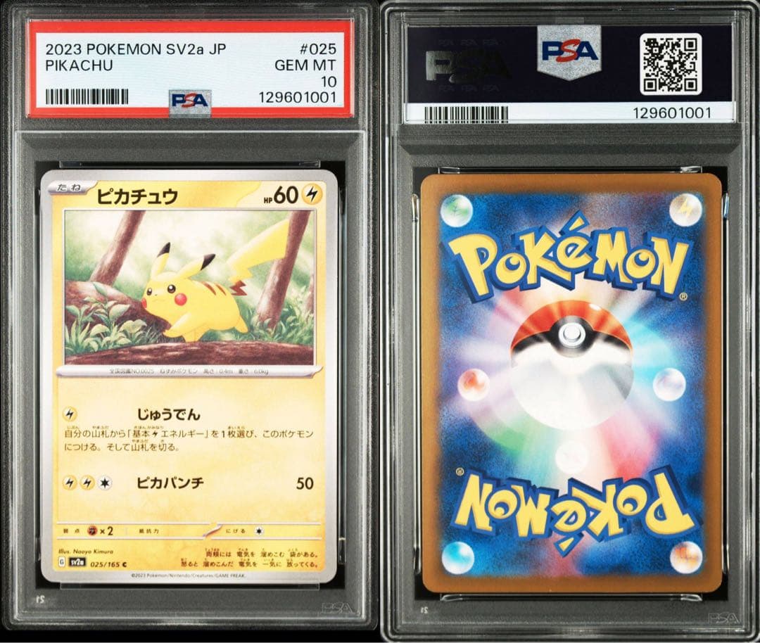 【PSA10】ピカチュウ 11枚セット