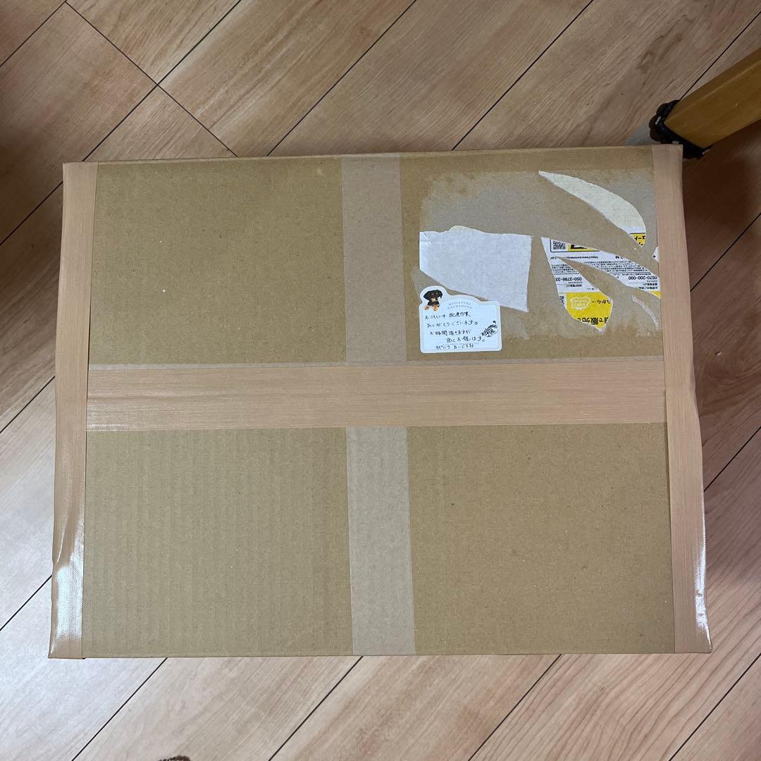超ドでかい！カピバラさんぬいぐるみ