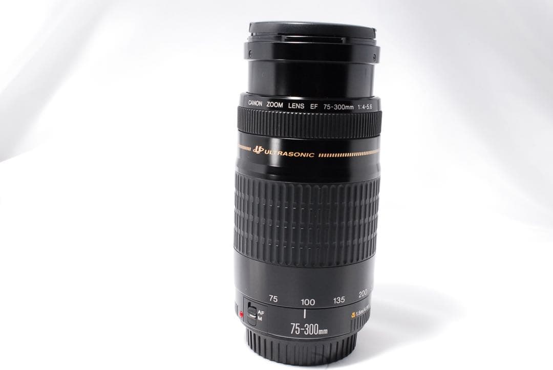 イベントやスポーツにも❤️ EF 75-300mm F4-5.6 II ❤️望遠