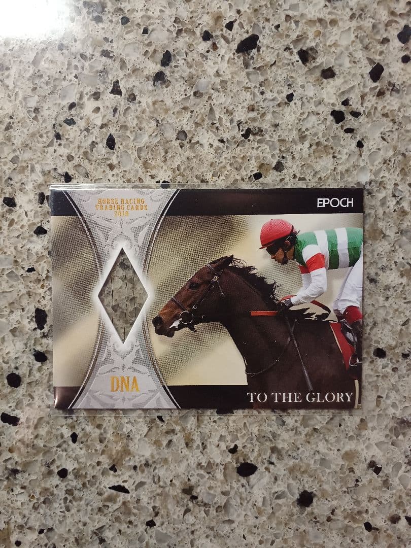 EPOCH 2019 ホースレーシング　トゥザグローリー　DNAカード　/50