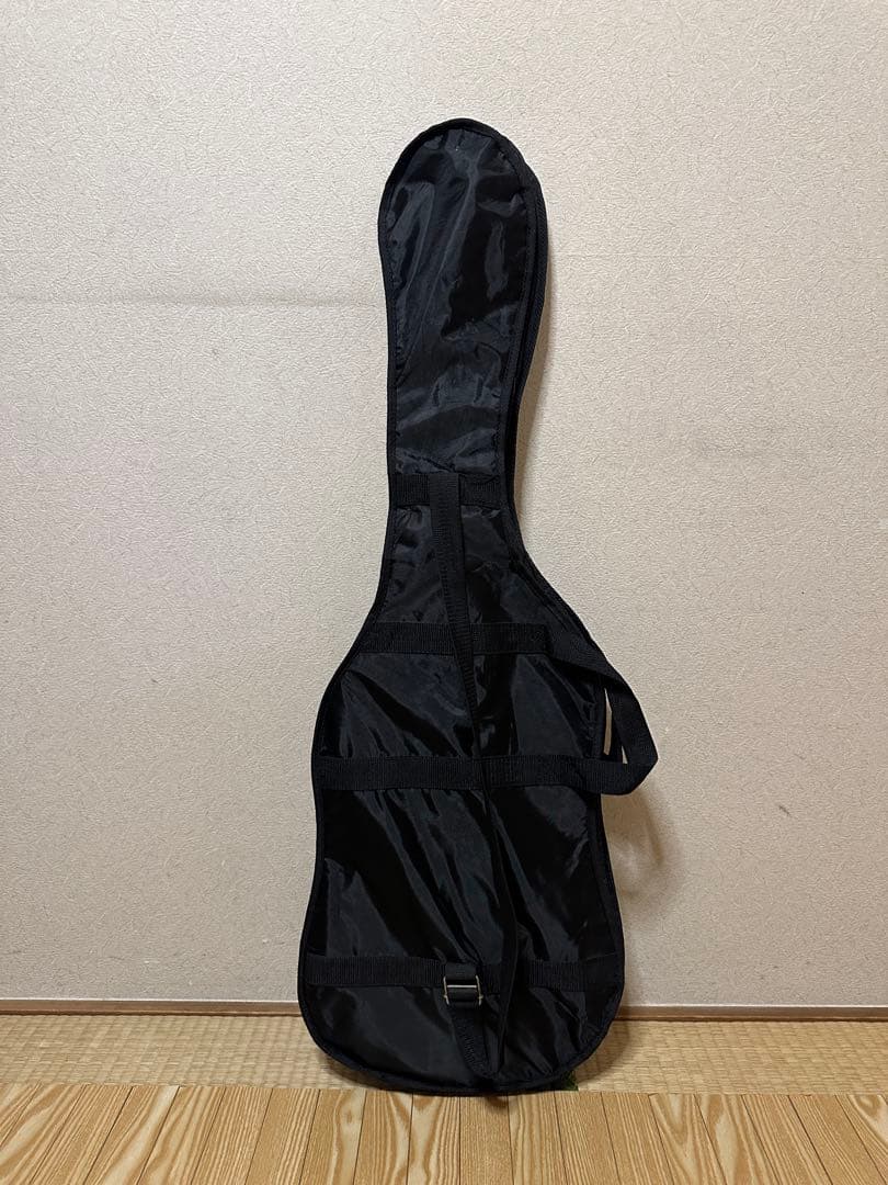 Selderブラック エレキギター