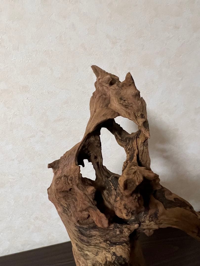 HX-003 流木　ホーンウッド　マシンガンウッド　アクアリウム　ブランチウッド