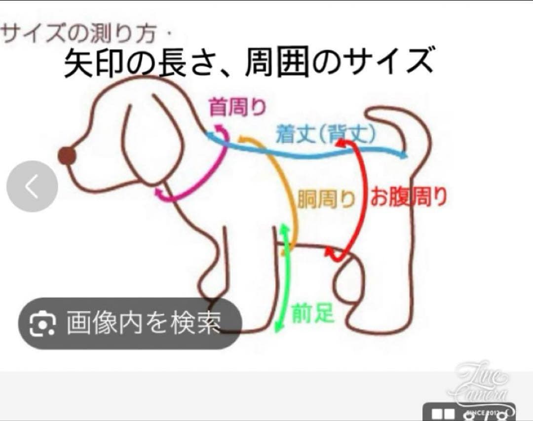 B455.pon2pan2☆犬オーダーお着物☆犬お着物☆犬お引き摺りお着物