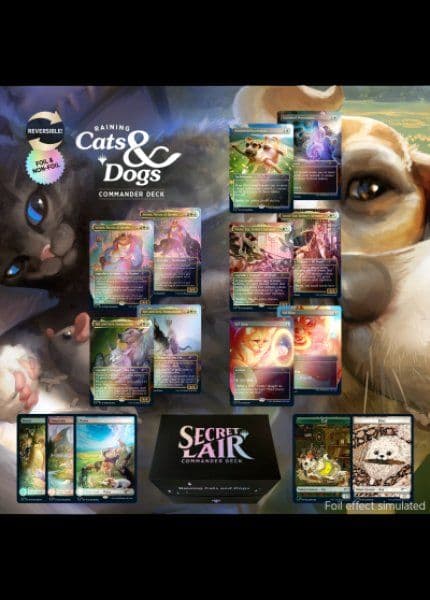 Raining Cats and Dogs 未開封BOX